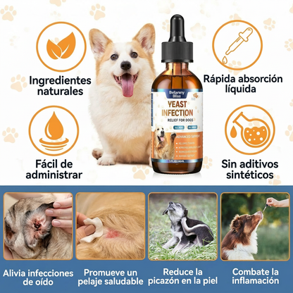 Features & Benefits - BellamyBliss