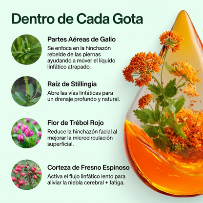 Gotas de Drenaje Linfático BellamyBliss™