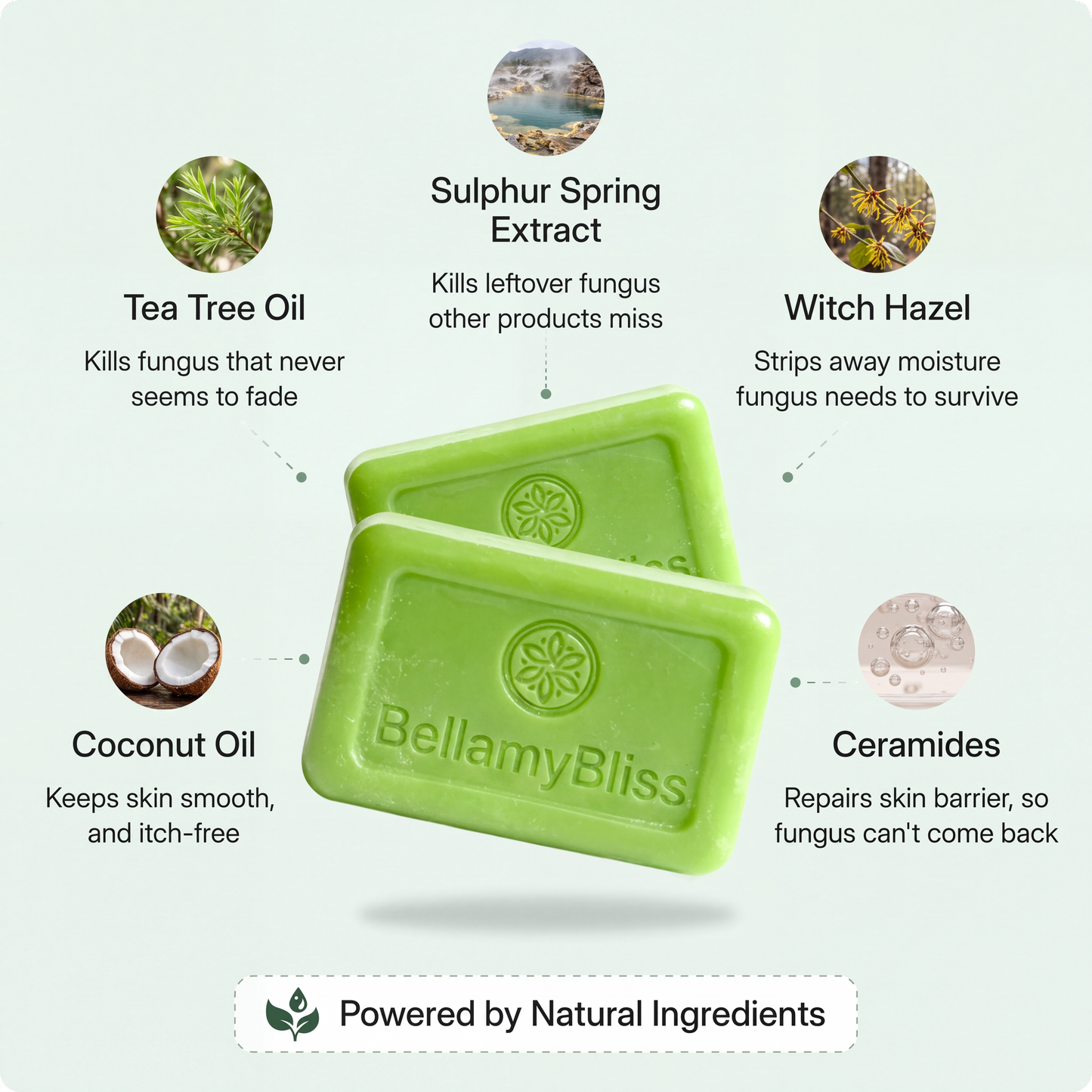 BellamyBliss™ Antifungal Soap