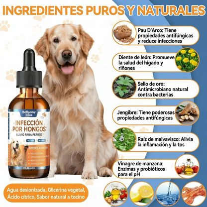 Ingredientes Puros y Naturales - Bellamy Bliss