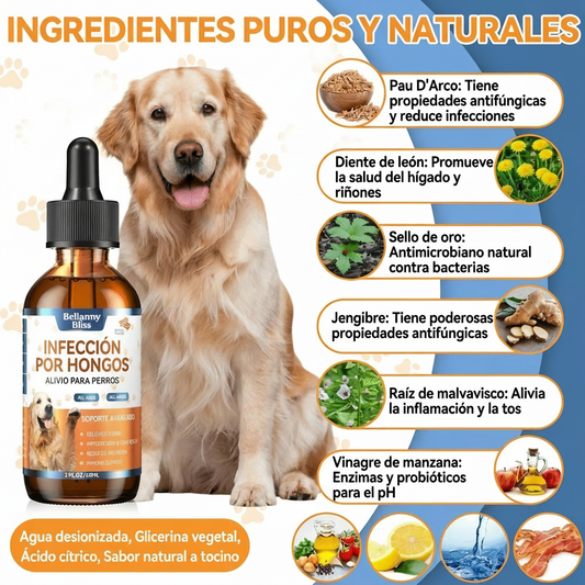 Ingredientes Puros y Naturales - Bellamy Bliss